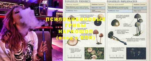 меф VHQ Алзамай