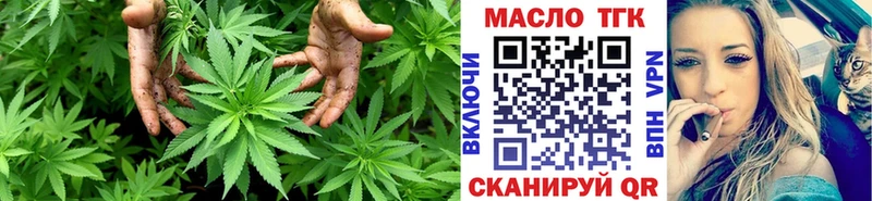 купить наркоту  Солнечногорск  ТГК THC oil 
